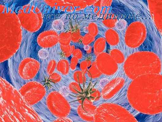 отпечатки раны