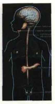 photo 2019 05 29 16 01 30