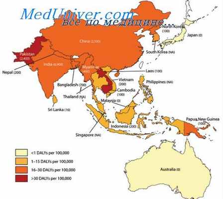 японский энцефалит