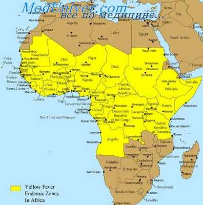 желтая лихорадка