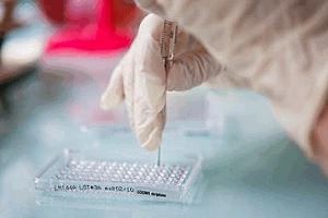 Анализ крови