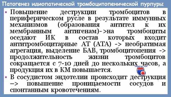 Патогенез идиопатической тромбоцитопенической пурпуры