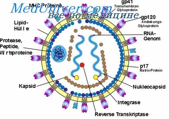 эпидемиология