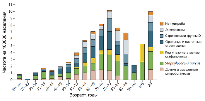 Частота инфекционного эндокардита в зависимости от возраста и микроба