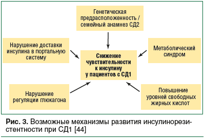 Рис. 3. Возможные механизмы развития инсулинорезистентности при СД1 [44]
