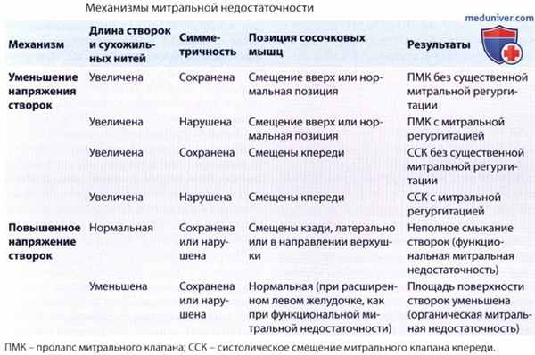 Механизмы митральной недостаточности по Carpentier
