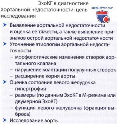 ЭхоКГ при аортальной недостаточности