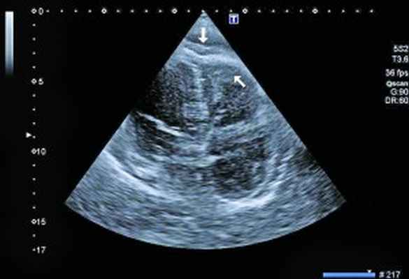 Рис3Без имени-1