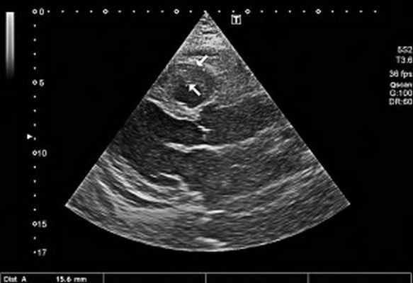 Рис2Без имени-1