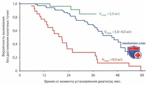 ЭхоКГ оценка степени аортального стеноза
