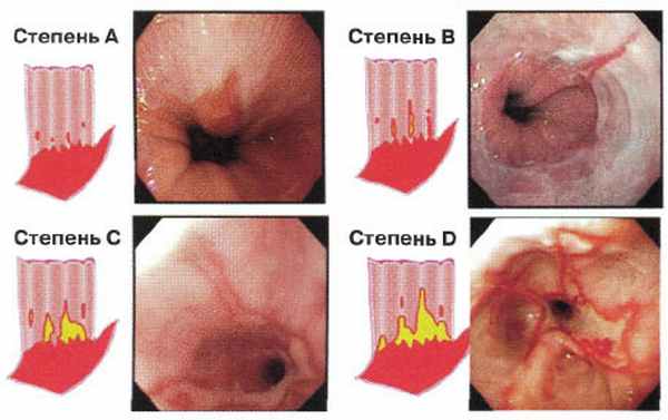 Образцы исследований