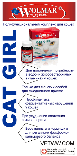 Витмины для кошек всех пород