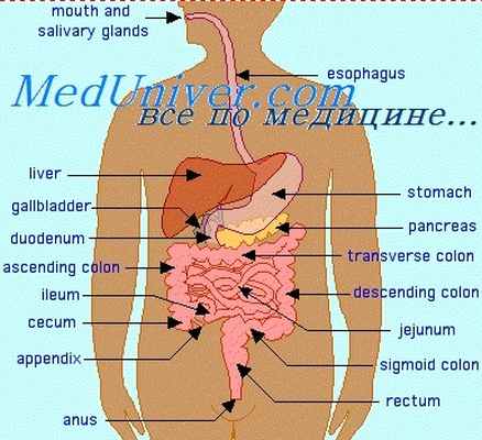 пептическая язвенная болезнь