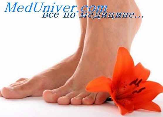 щитовидная железа