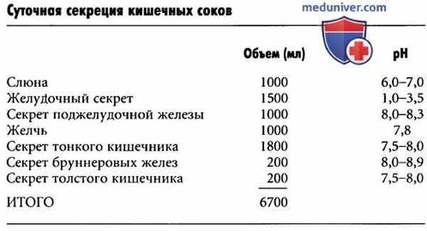 Физиология слюны. Секреция слюны