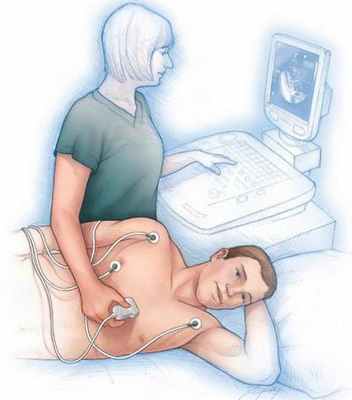 Эхокардиография - определение. Показания для назначения, описание процедуры, показатели
