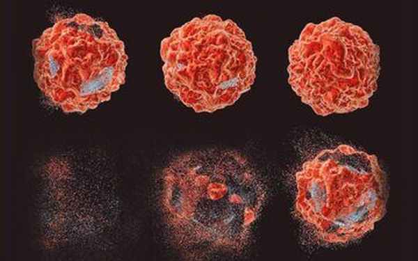 Механизм действия – как работает ФДТ?