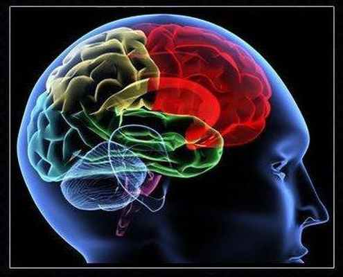 средства стимулирующие холинергические синапсы 