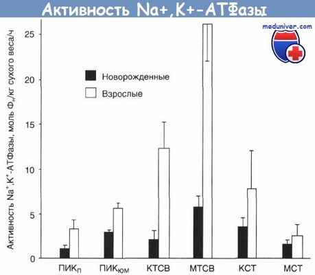 Активность Na+,K+-АТФазы проксимального канальца нефрона почки