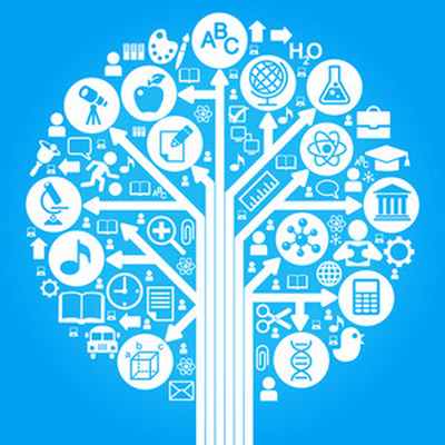 Функциональная анатомия коленного сустава и спортивная травма