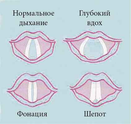 Степень открытия голосовой щели