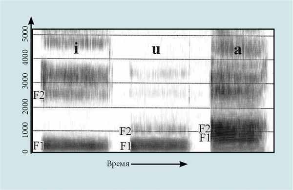 Спектрограмма 