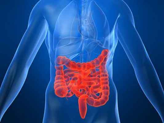 Гастроэнтерит: причины, симптомы, лечение, профилактика