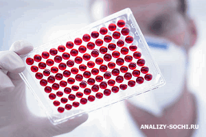 Анализ крови