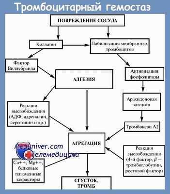 тромбоцитарный гемостаз