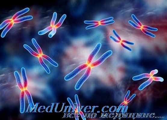 генетическая гетерогенность