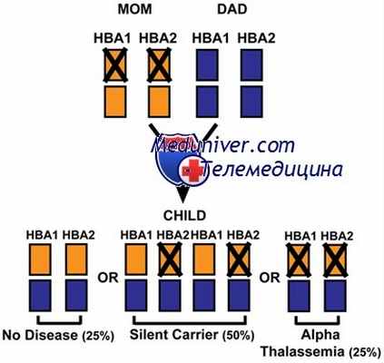 а-талассемия