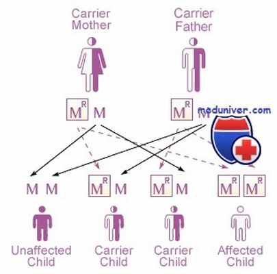генетика мукополисахаридозов