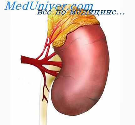 гепато-ренальный синдром