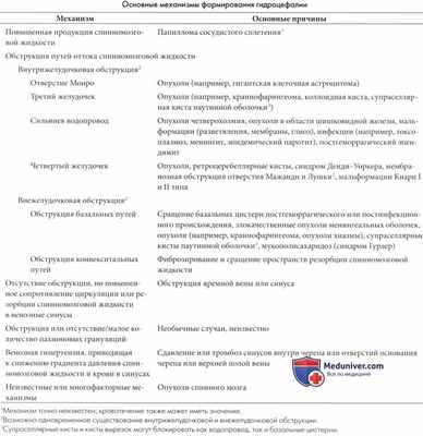 Механизмы развития гидроцефалии (патогенез гидроцефалии)