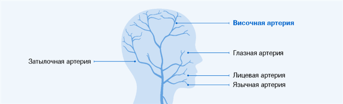 Изображений 1