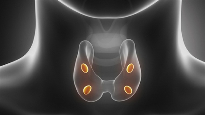 Гиперпаратиреоз