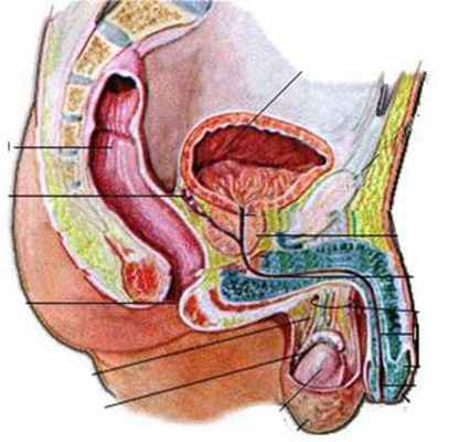 Фото Гипогонадотропный гипогонадизм у женщин
