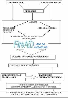 Этиология гиповолемического шока. Патогенез постгеморрагического шока.