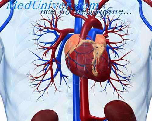 гиповолемический шок