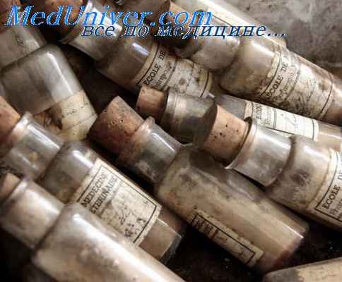 шок в ветеринарии