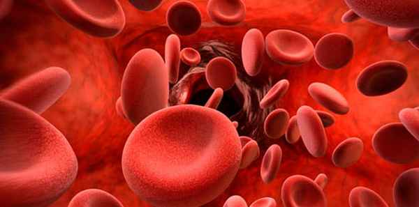 Гиповолемия – Алкоклиник