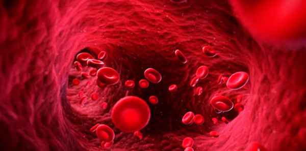 Олигоцитемический вид нарушения – Алкоклиник