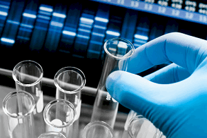 Лабораторные анализы