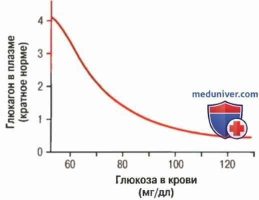 Глюкагон и глюконеогенез. Регуляция секреции глюкагона