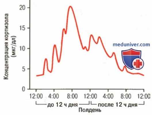 Глюкокортикоиды при физиологическом стрессе. Синтез кортизола