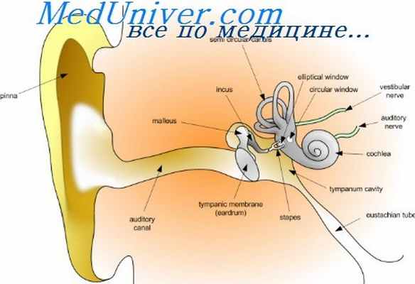 лабиринтит