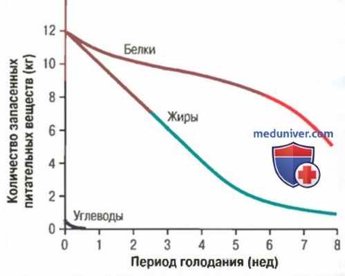 Голодание. Физиология истощения при голодании