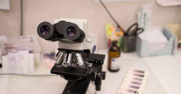 Диагностика тромбоцитопения