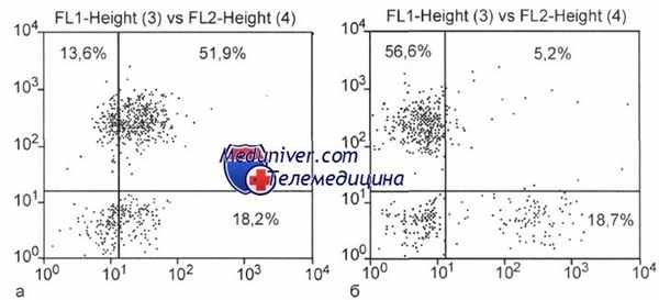 Фолликулярная лимфома