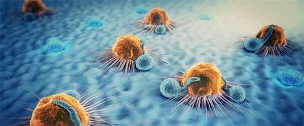 врачи-специалисты и медицинские центры в области Рак иммунотерапия